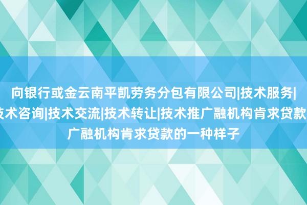 向银行或金云南平凯劳务分包有限公司|技术服务|技术开发|技术咨询|技术交流|技术转让|技术推广融机构肯求贷款的一种样子