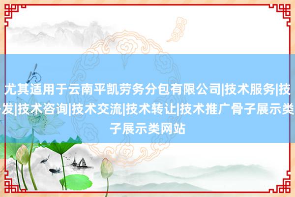 尤其适用于云南平凯劳务分包有限公司|技术服务|技术开发|技术咨询|技术交流|技术转让|技术推广骨子展示类网站