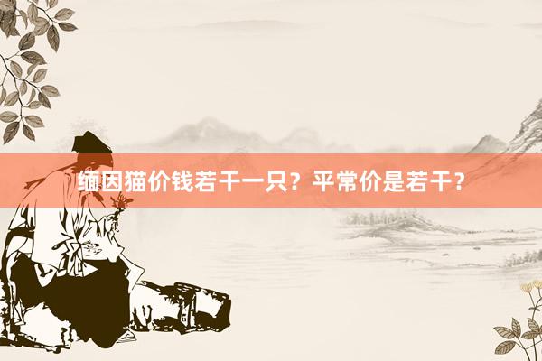 缅因猫价钱若干一只？平常价是若干？