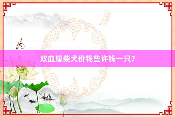 双血缘柴犬价钱些许钱一只?